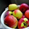 Secar manzanas en un horno de gas para el invierno: reglas, consejos, recetas.