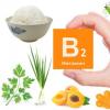 Niyə B2 vitamini (riboflavin) lazımdır - hansı məhsullar var və onun istifadəsi üçün təlimatlar