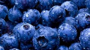 Why do you dream of eating blueberries or picking berries in the forest? Why do you dream of eating large blueberries?