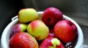 Сушене на ябълки в газова фурна за зимата: правила, съвети, рецепти