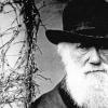 Darwin: la base de la teoría moderna de la evolución
