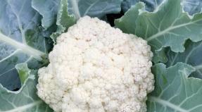What are the benefits of cauliflower?