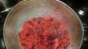 Cranberry mousse 